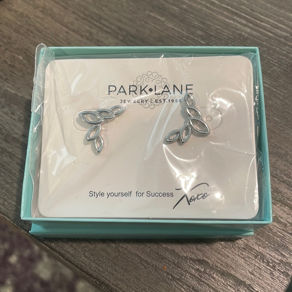 COPY - Park lane crepe silver earrings